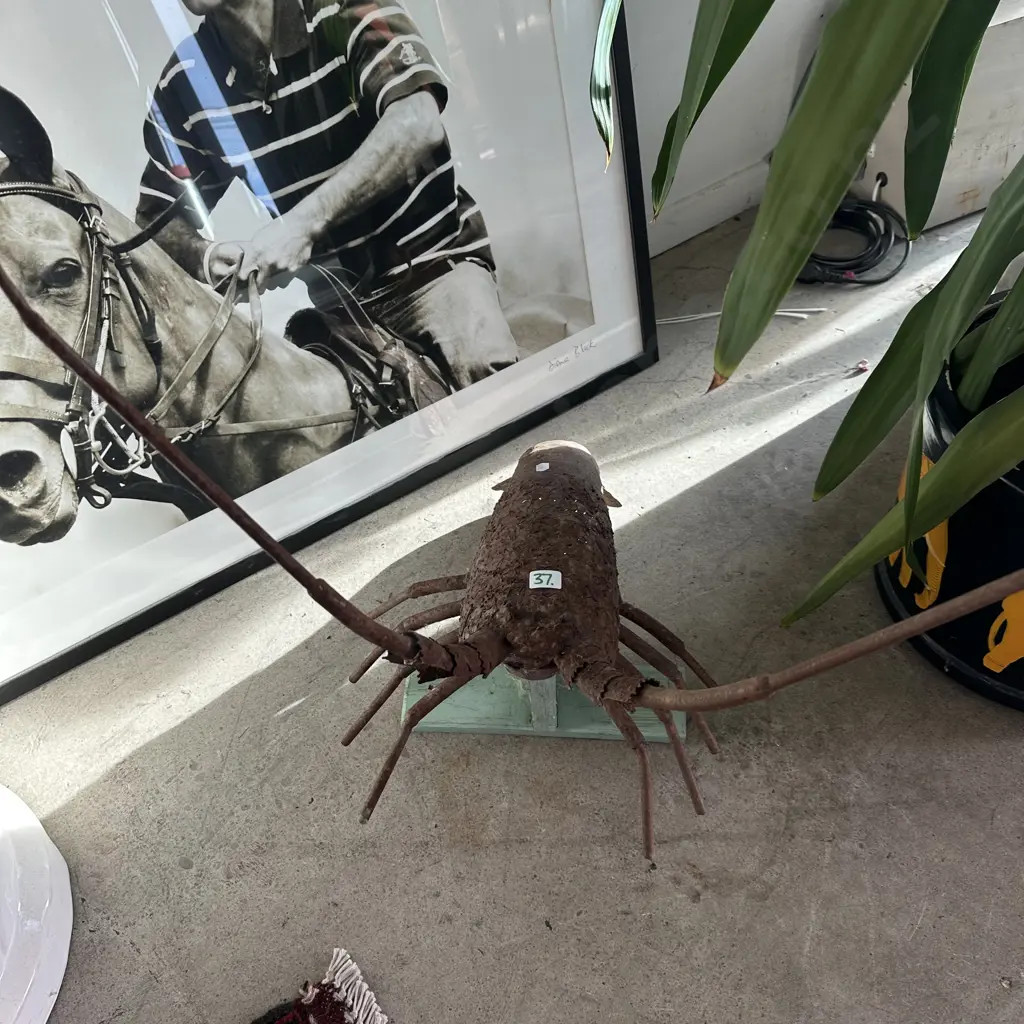 Wall mount steel crayfish Image 1++
