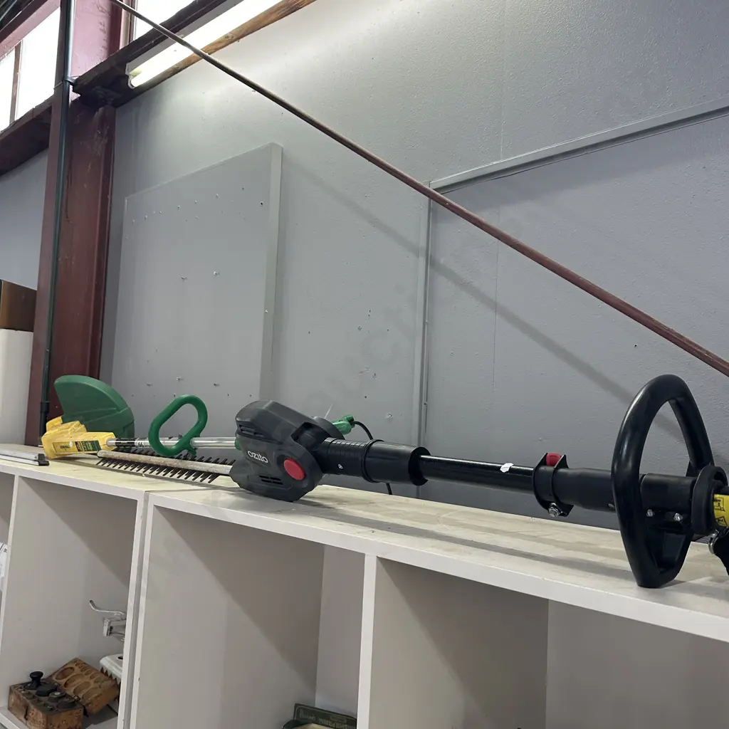 extendable trimmer plus strimmer Image 1++
