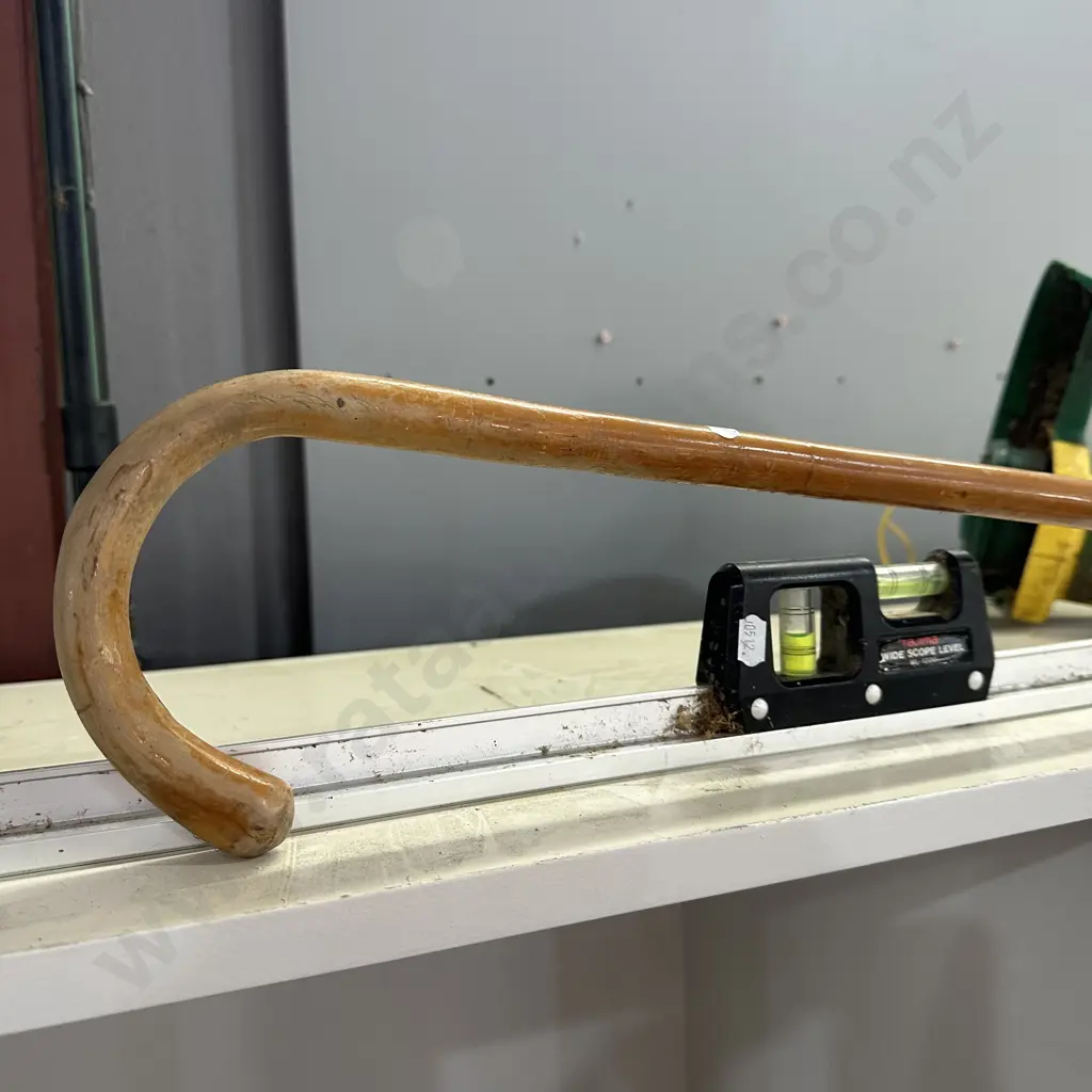 wide scope level and walking stick Image 1++
