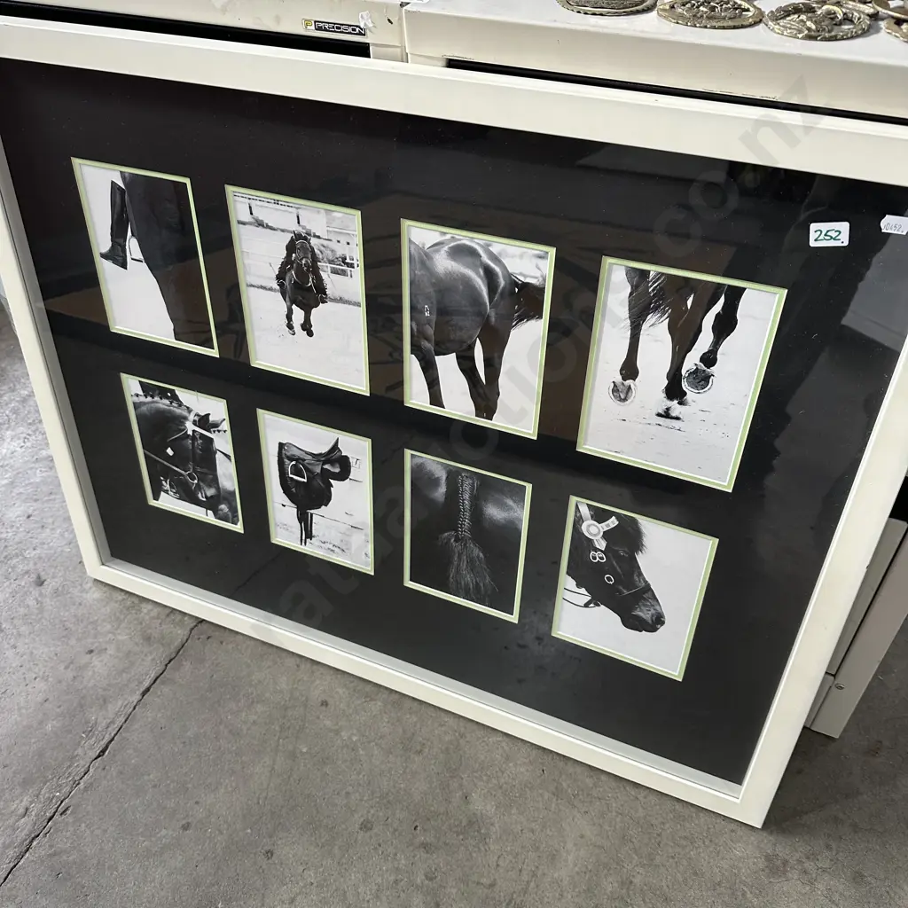 Framed horse picture Image 1++