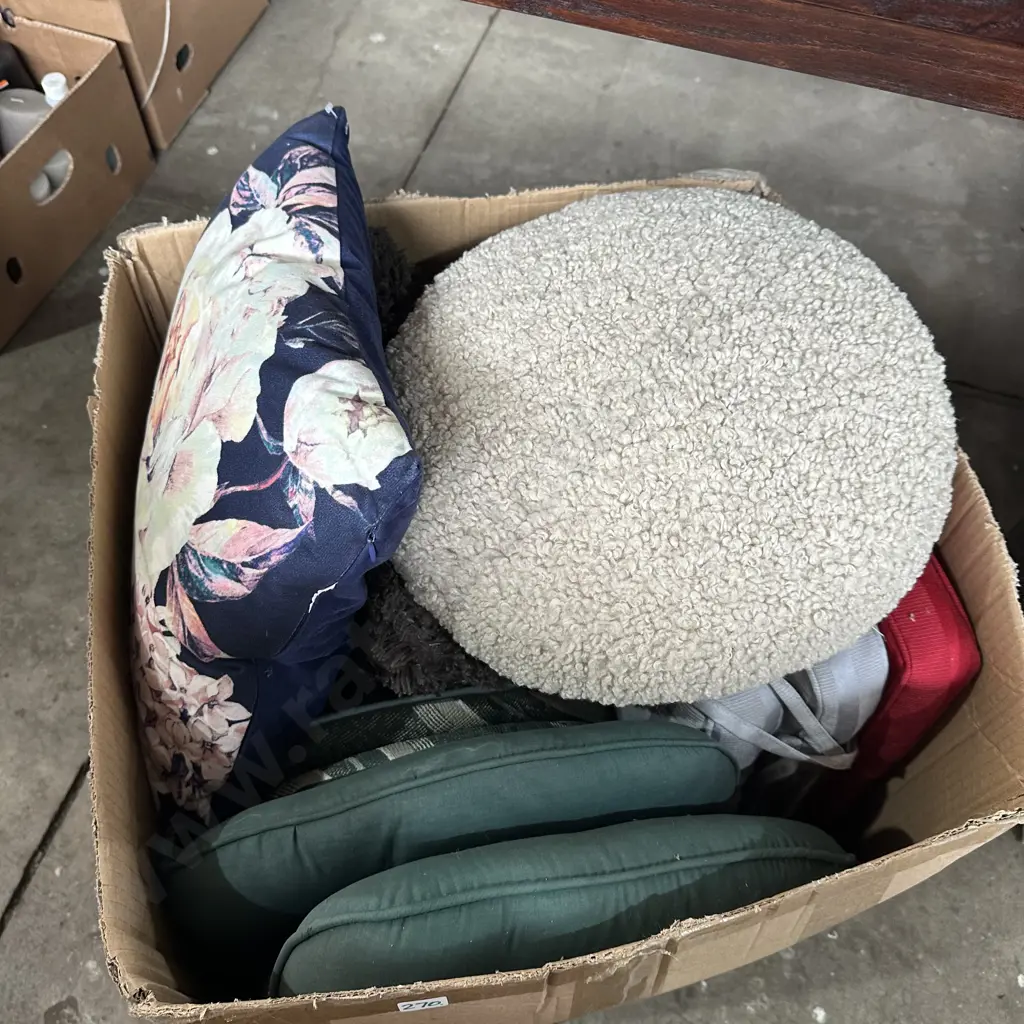 cushions Image 1++