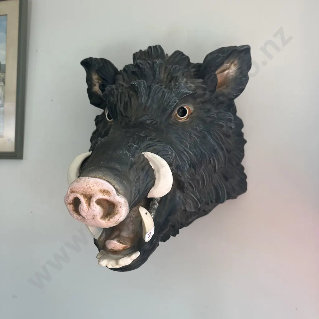 Wild Boer (moulded) wall mount, neck to snout 500mm Image 1++