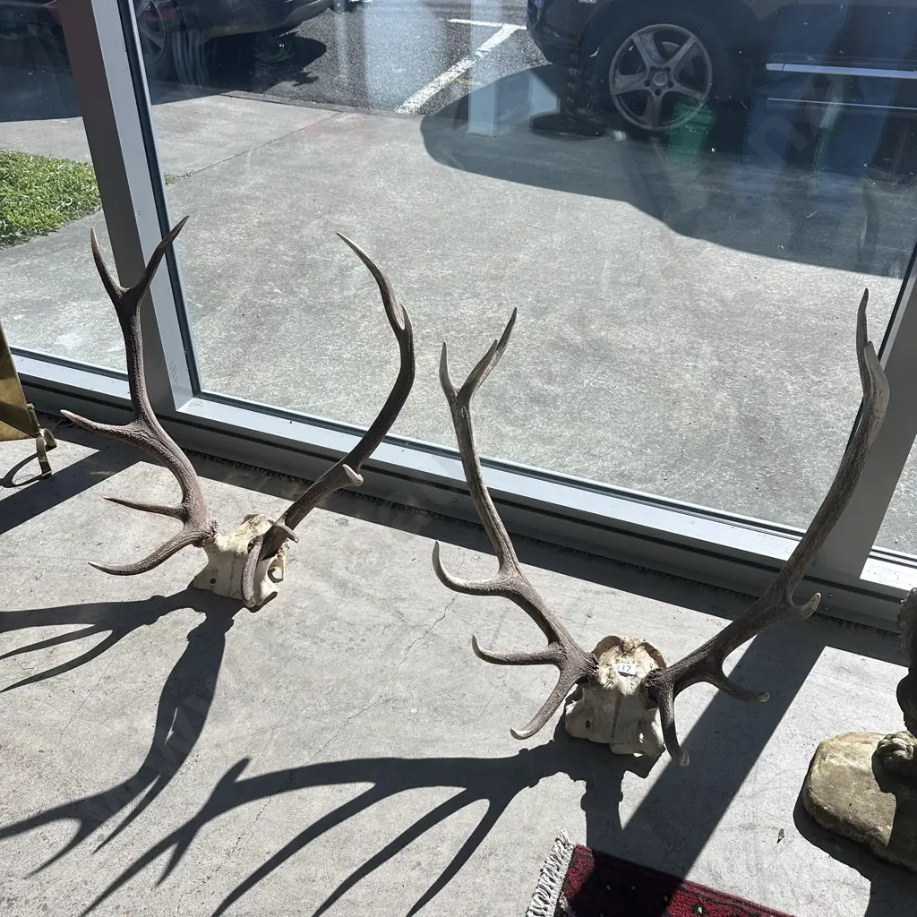 2 sets antlers Image 1++