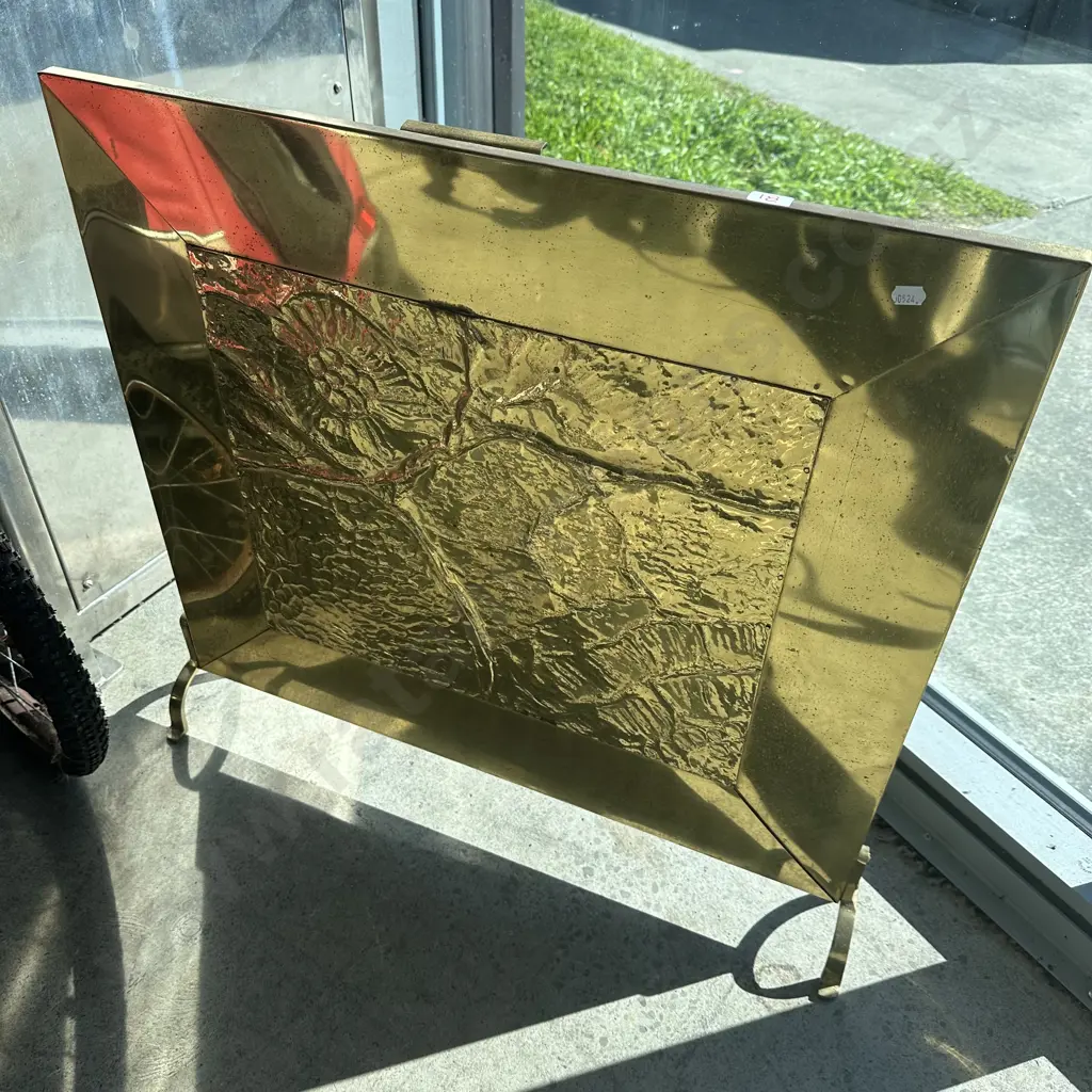 Brass fire screen Image 1++