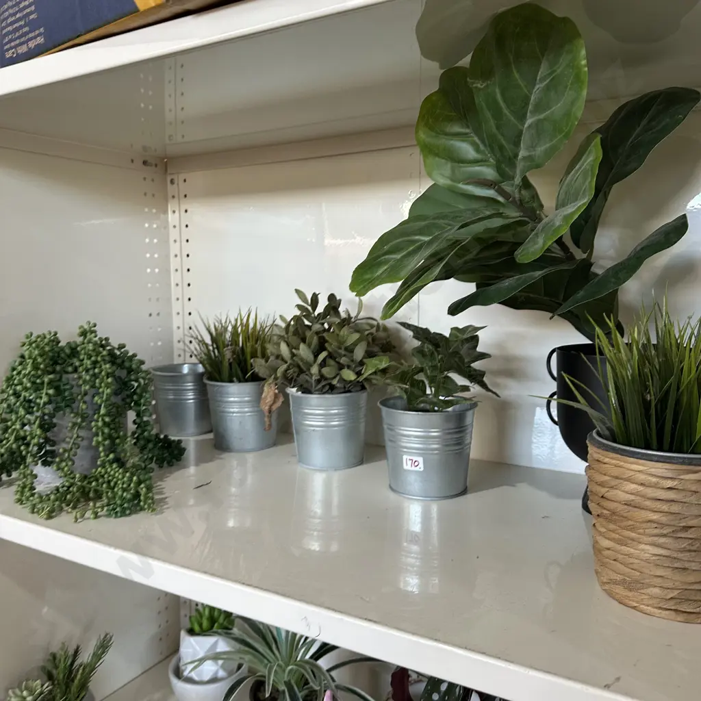 shelf fake plants Image 1++