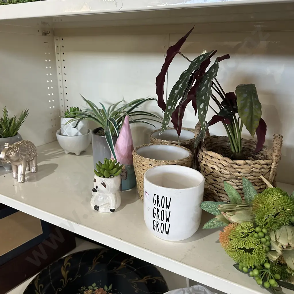 shelf lot Image 1++