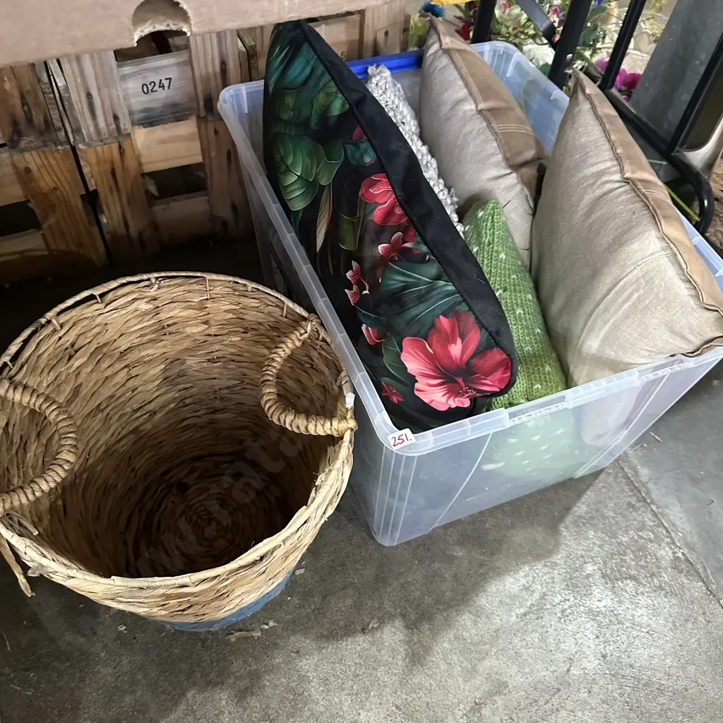 bin of cushions and basket Image 1++