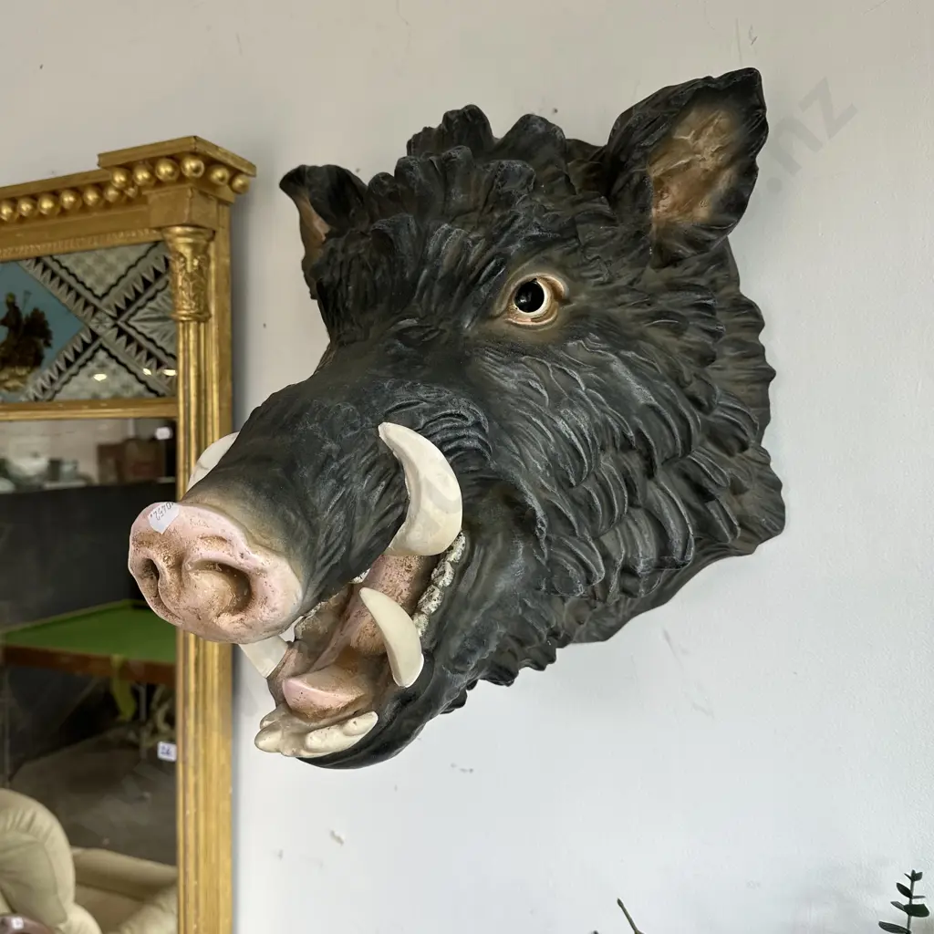 Moulded Boer head Image 1++