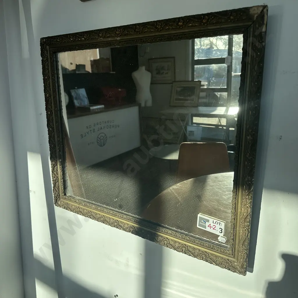 mirror - damaged frame Image 1++