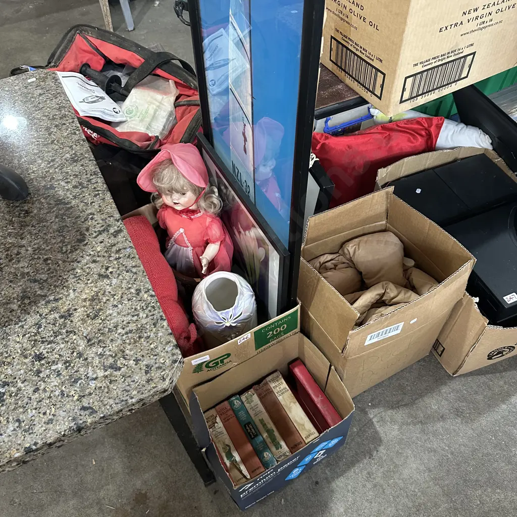 3 boxes duck down sleeping bags, books, pictures, doll etc Image 1++