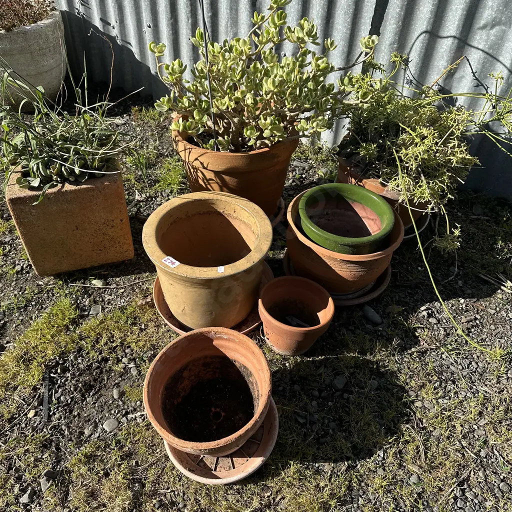 large lot of plants and planters Image 1++