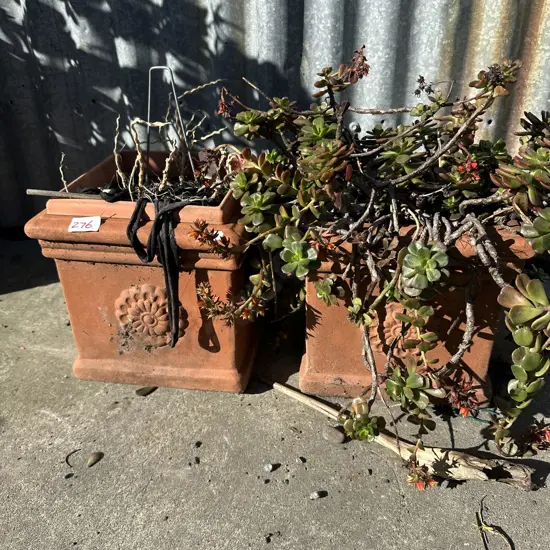 pr of planters