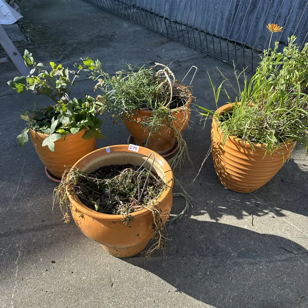 4 matching pots Image 1++