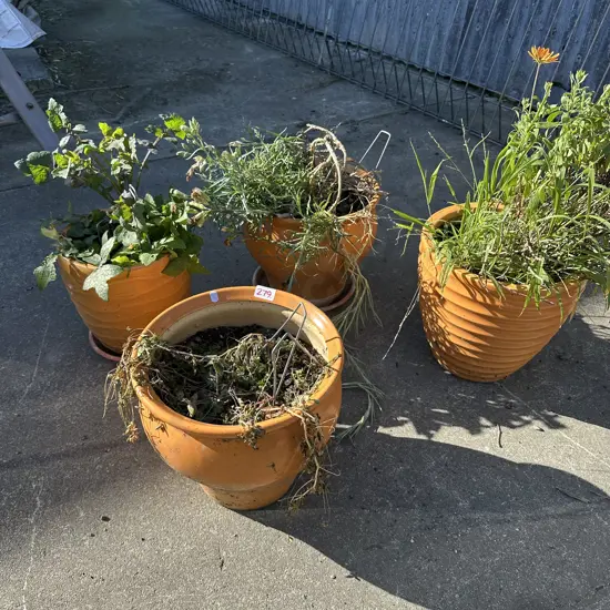4 matching pots
