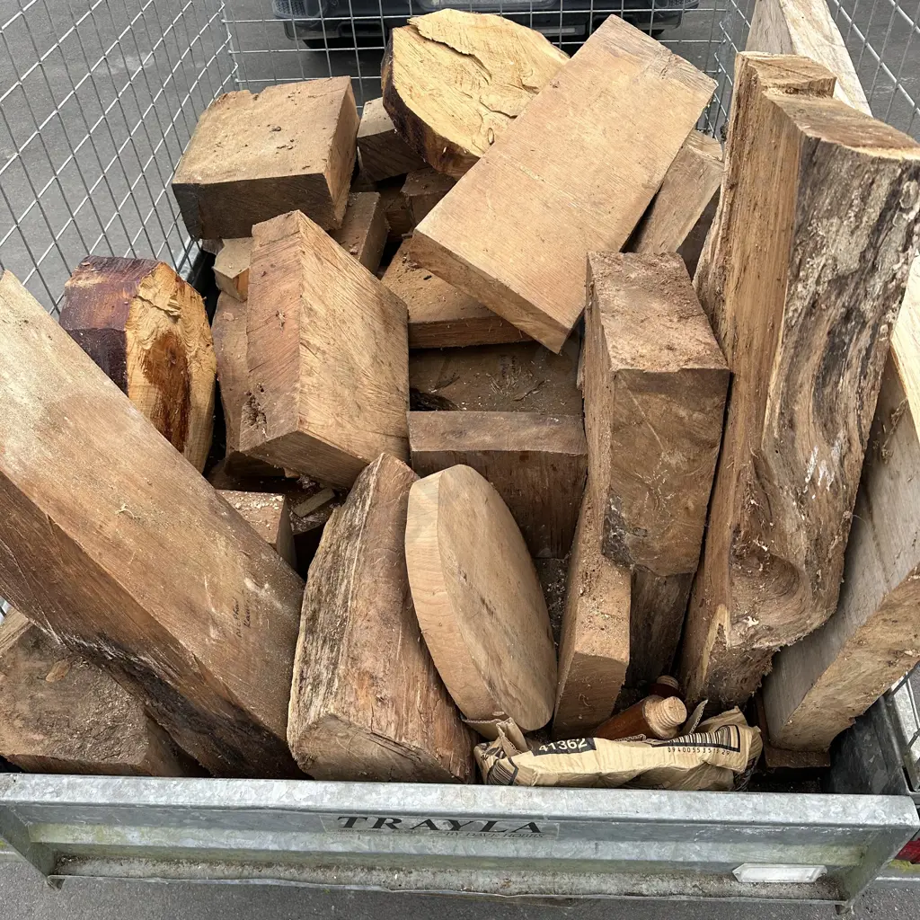 Wood Turners haven - large lot of native and hardwoods (not the trailer) Image 1++