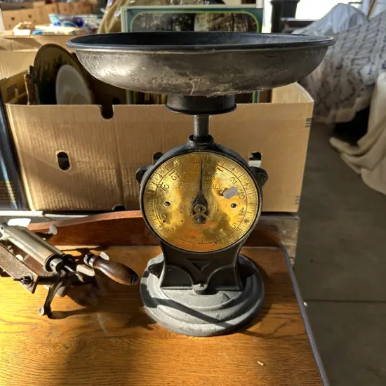 Salter family scale