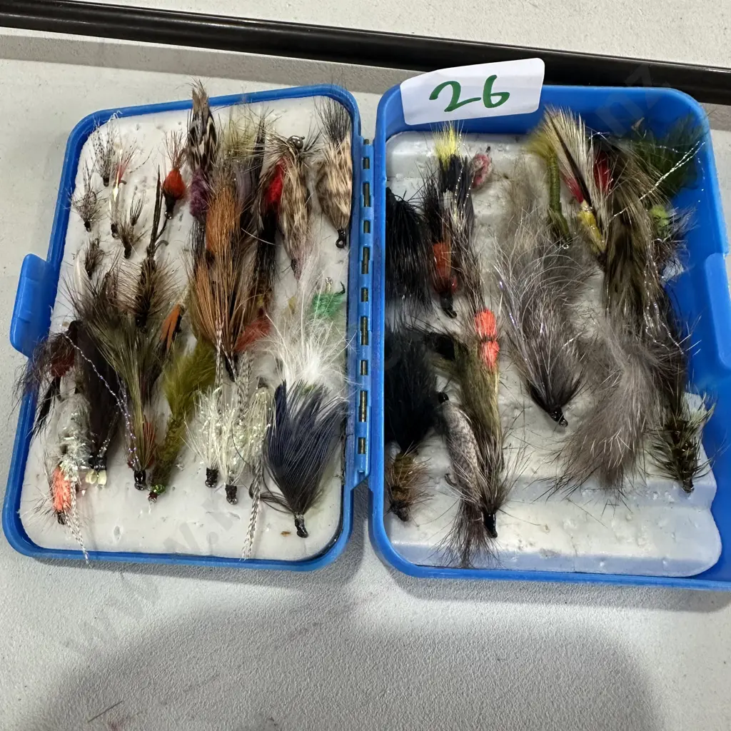 Anglersmail (Cleveland) fly box and contents Image 1++