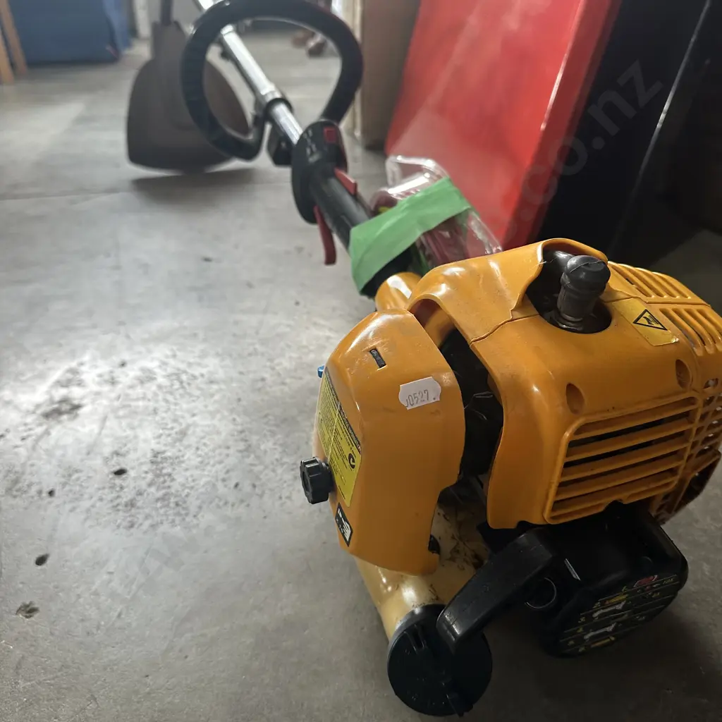 Petrol strimmer Image 1++