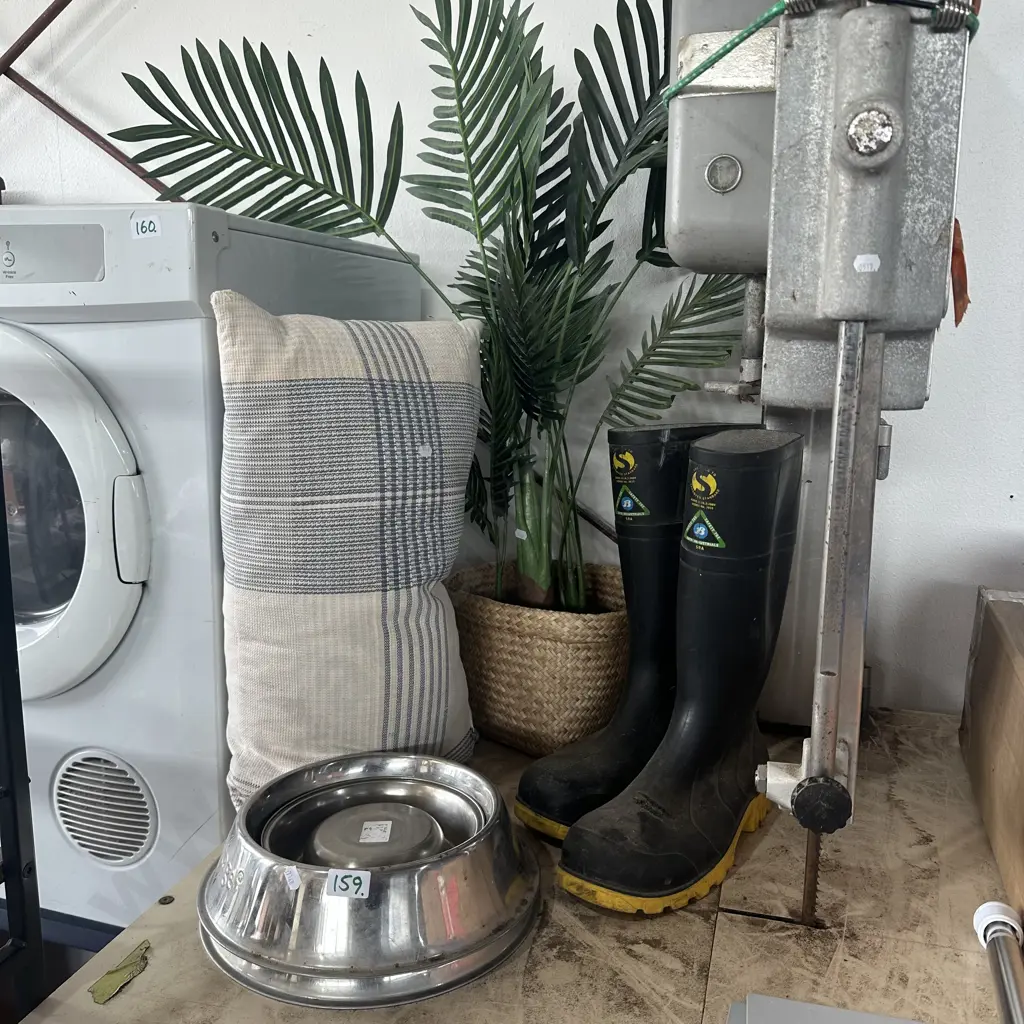 Palm, gumboots, dog bowls, and cushion Image 1++