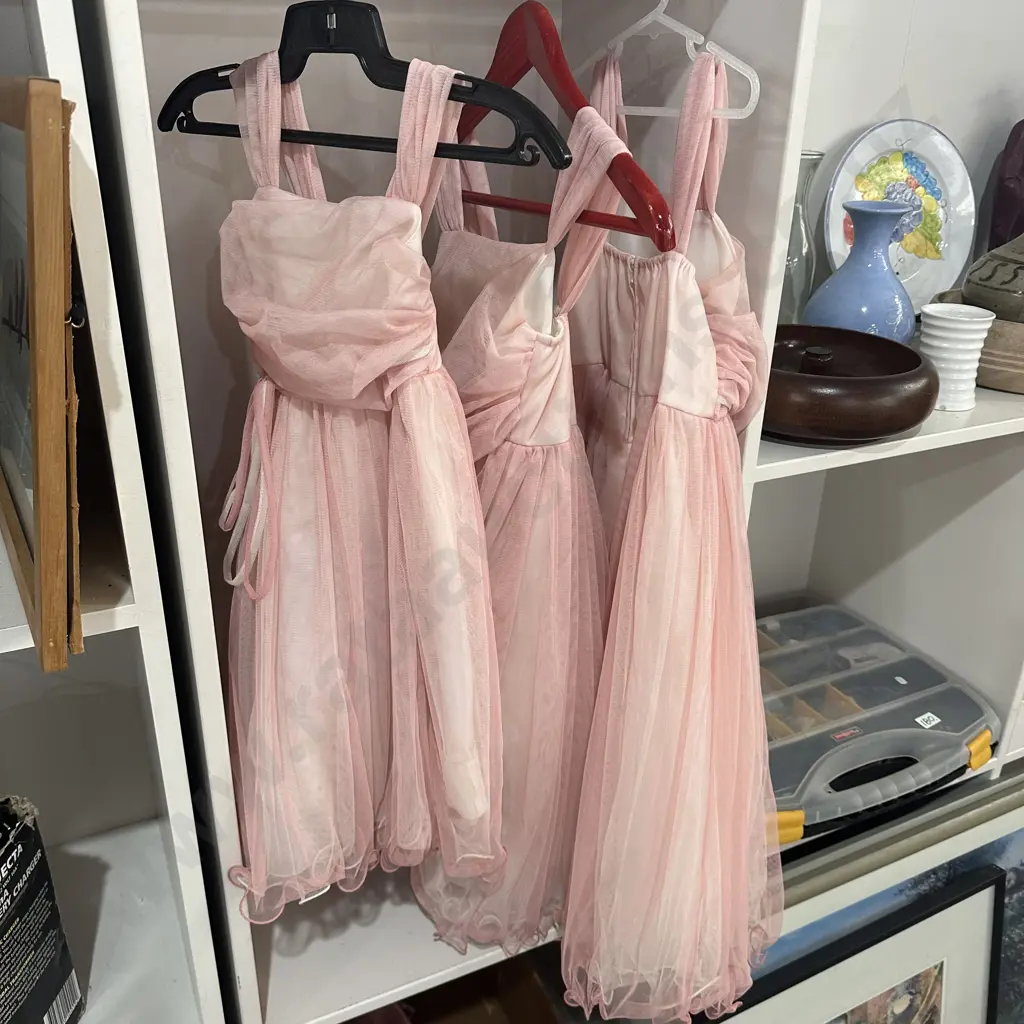 3 x "Kid's Dream" ballot dresses and accessories (made in USA) Image 1++