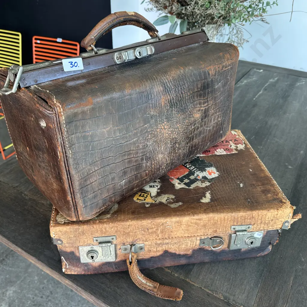 Leather suitcase and gladstone bag Image 1++