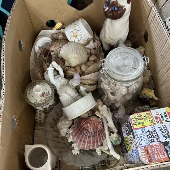shell collection