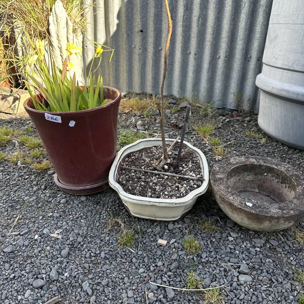 3 planters Image 1++