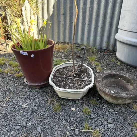 3 planters