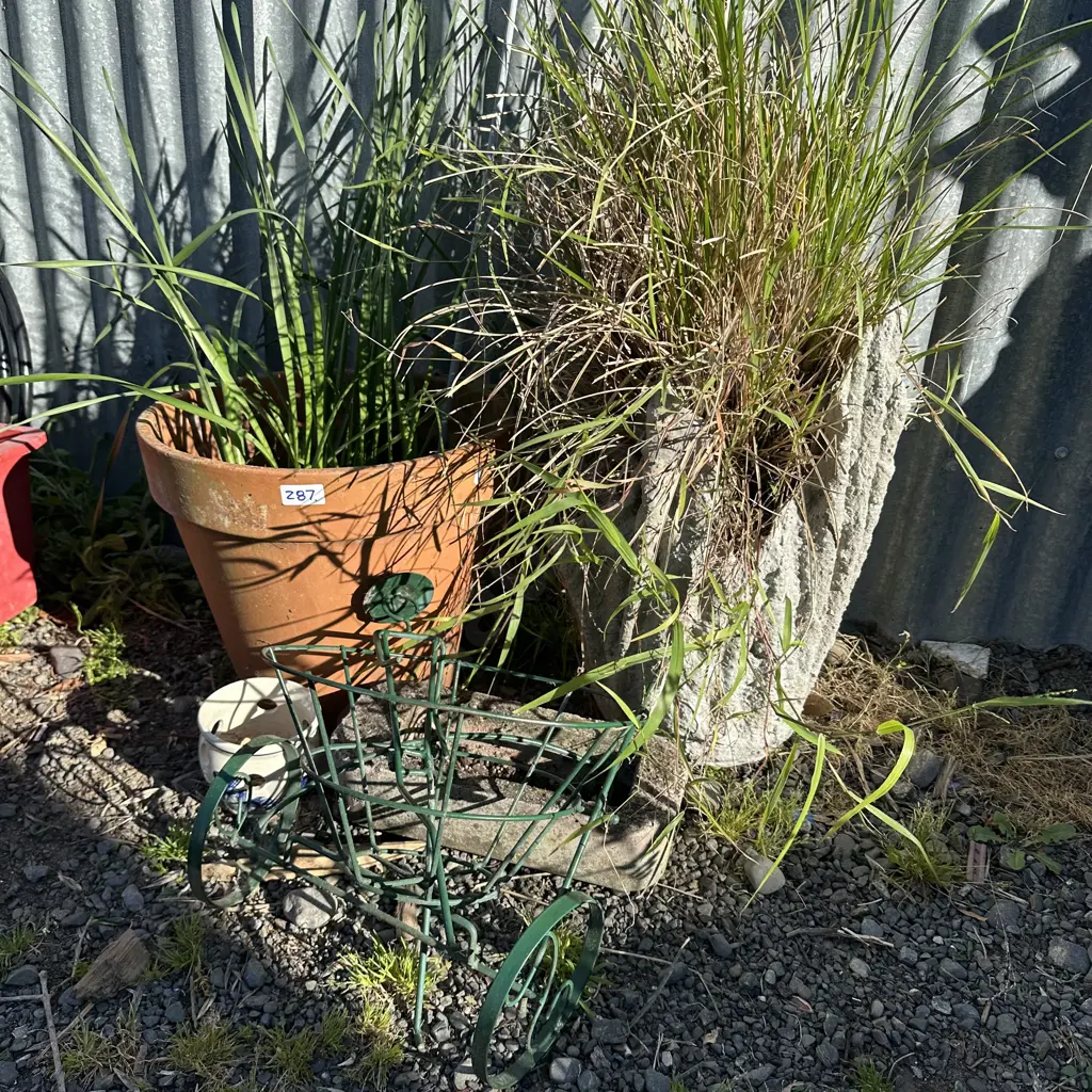 plants and pots etc Image 1++