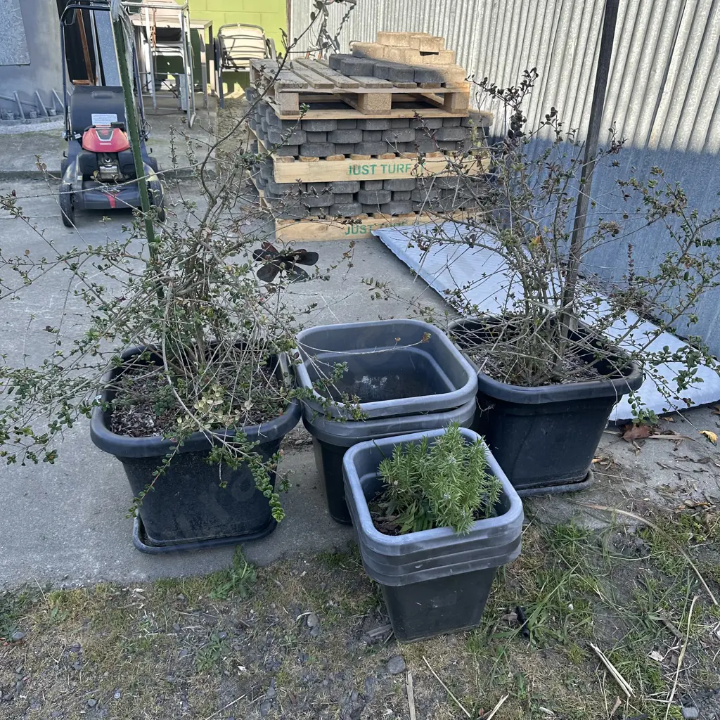 large plastic planters Image 1++
