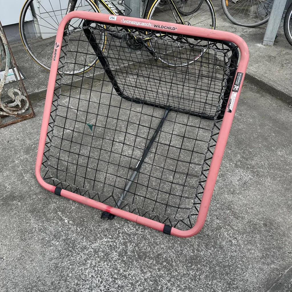 crazycatch Image 1++