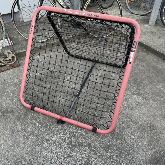 crazycatch