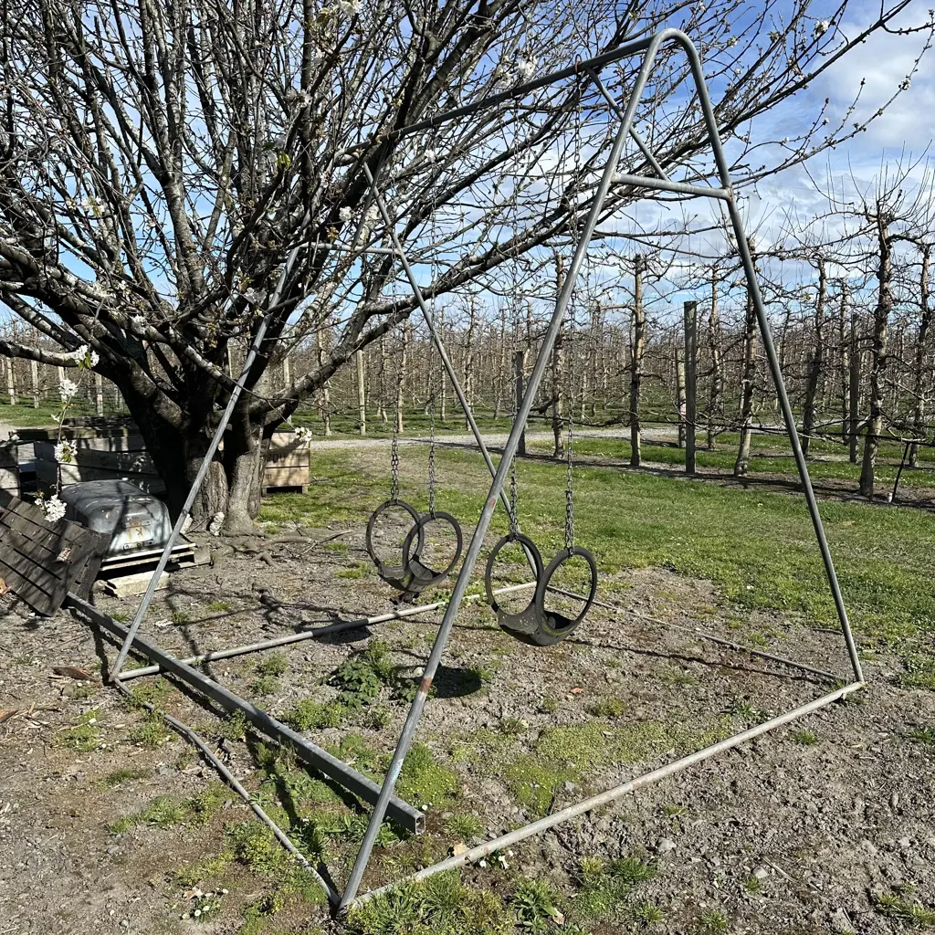 Old school tire swing Image 1++