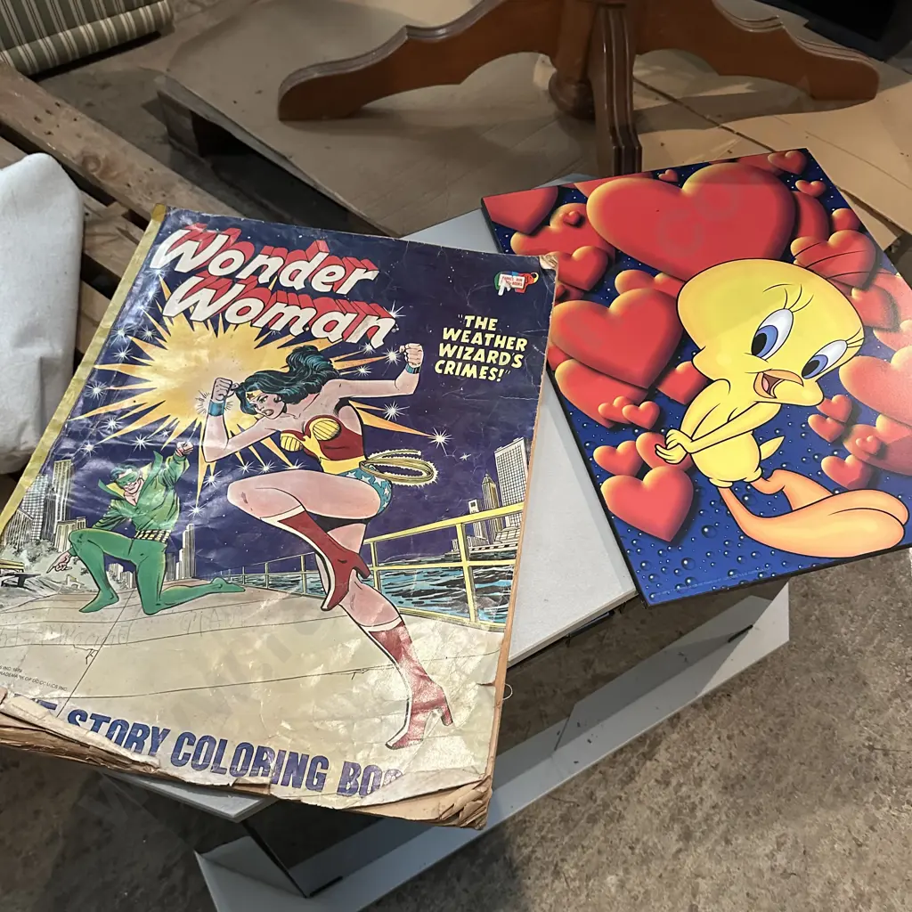 large vintage wonder woman colour in book plus tweete Image 1++