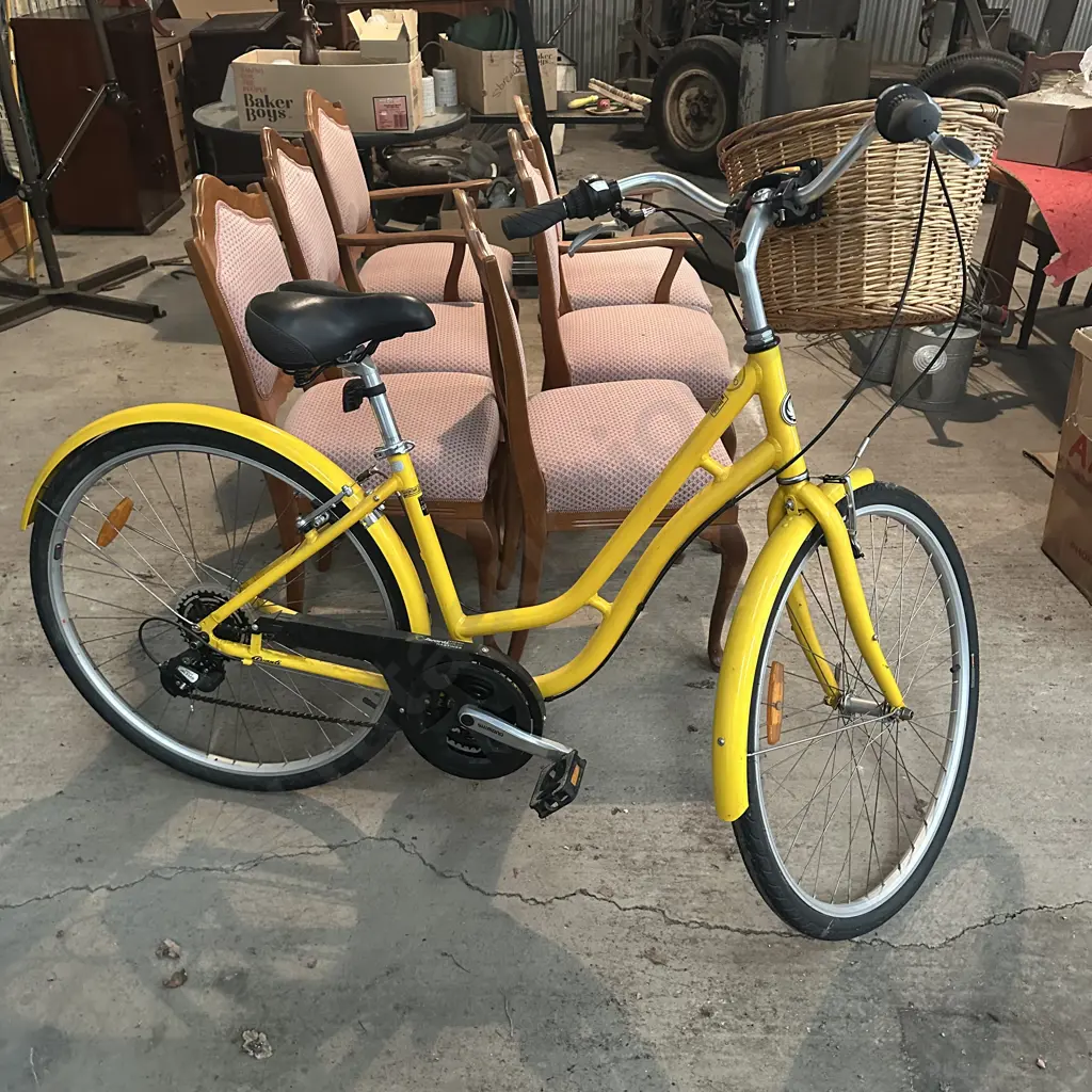 ladies grocery bike Image 1++