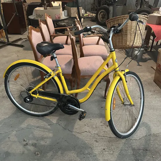 ladies grocery bike