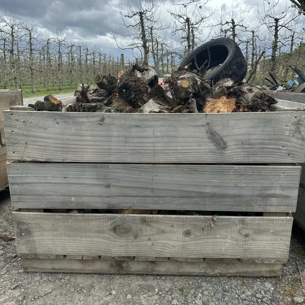 apple bin full of fruit wood (not bin) Image 1++