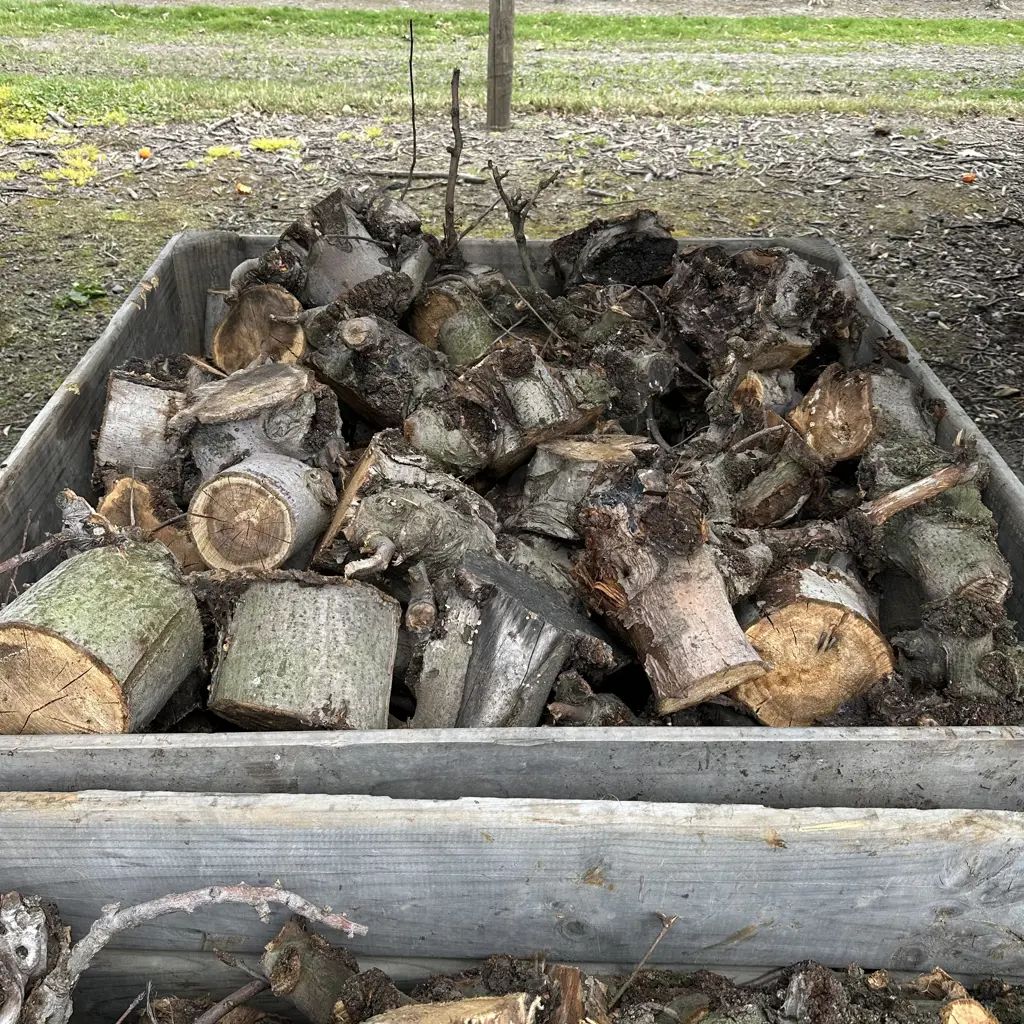 apple bin of fruitwood (not the bin) Image 1++