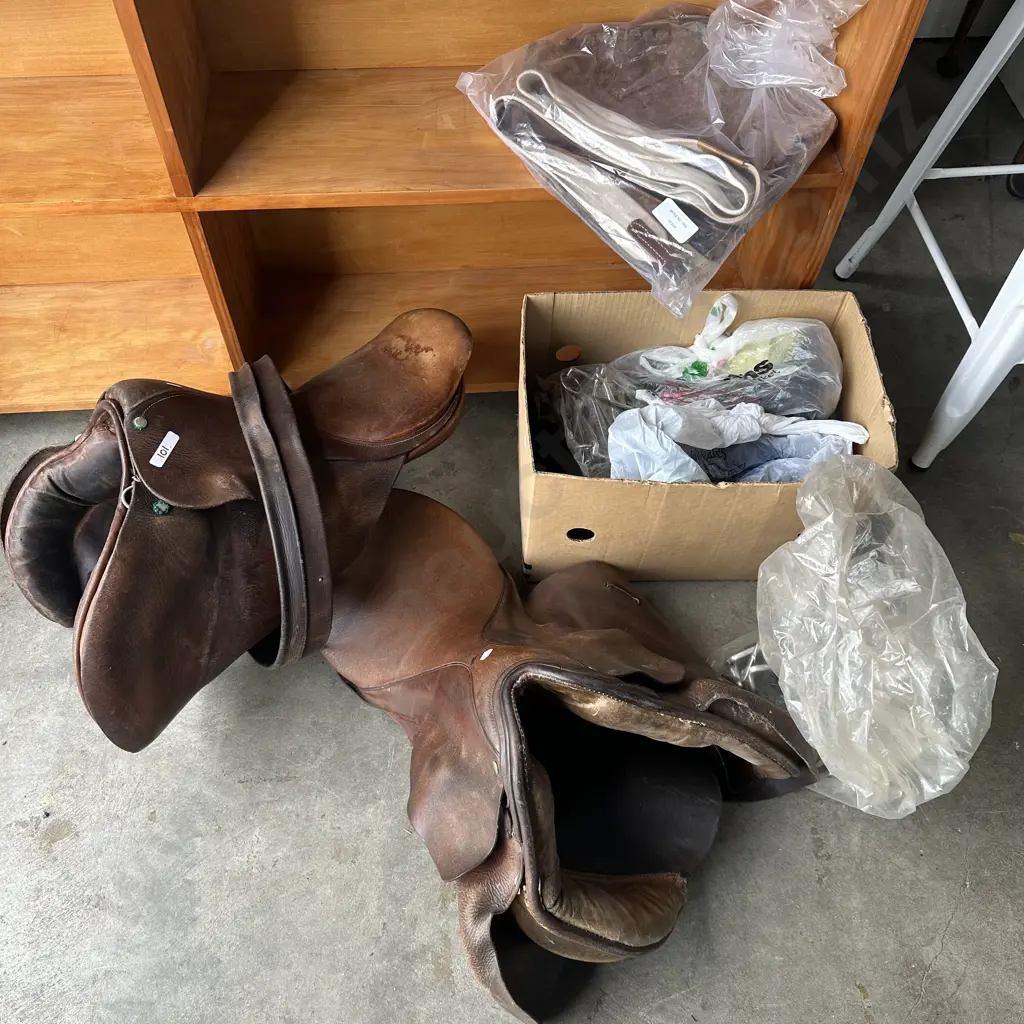 2 saddles and horse tack Image 1++