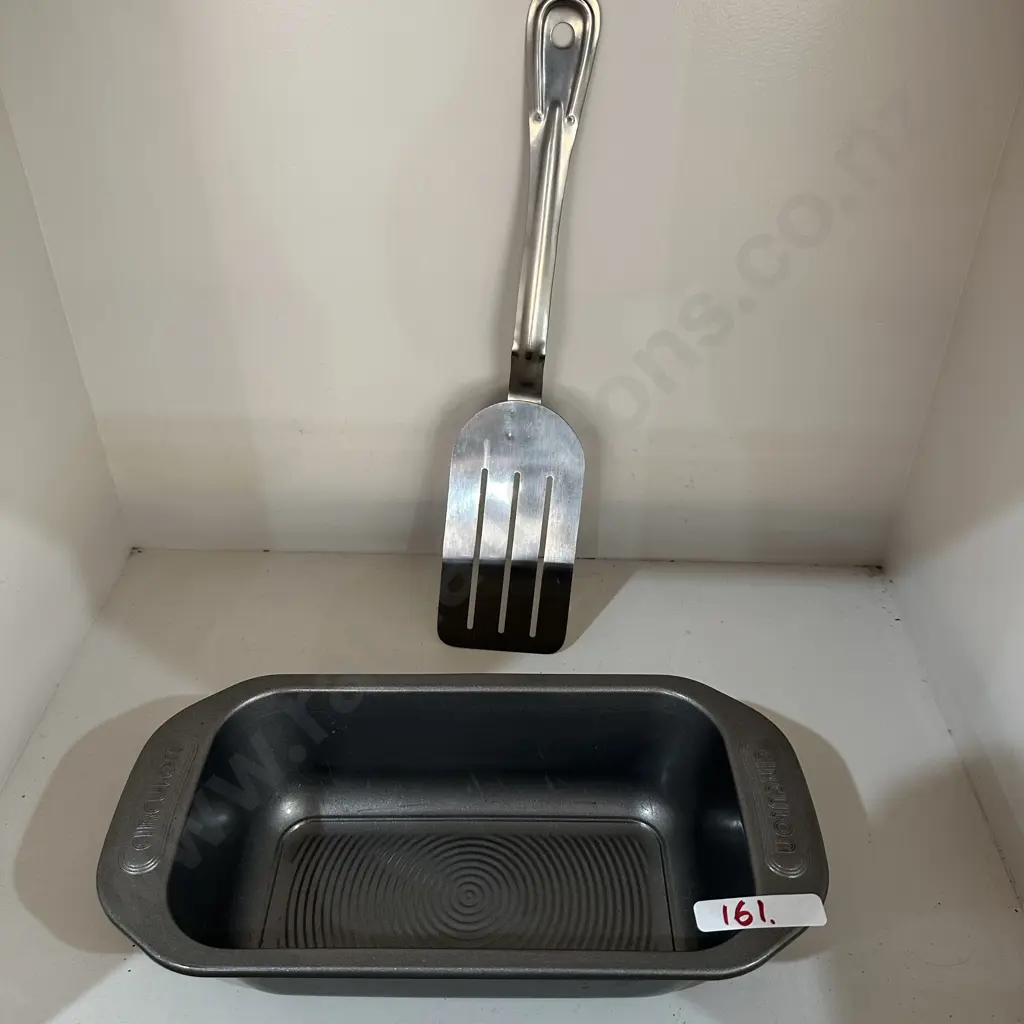 dish and flipper Image 1++