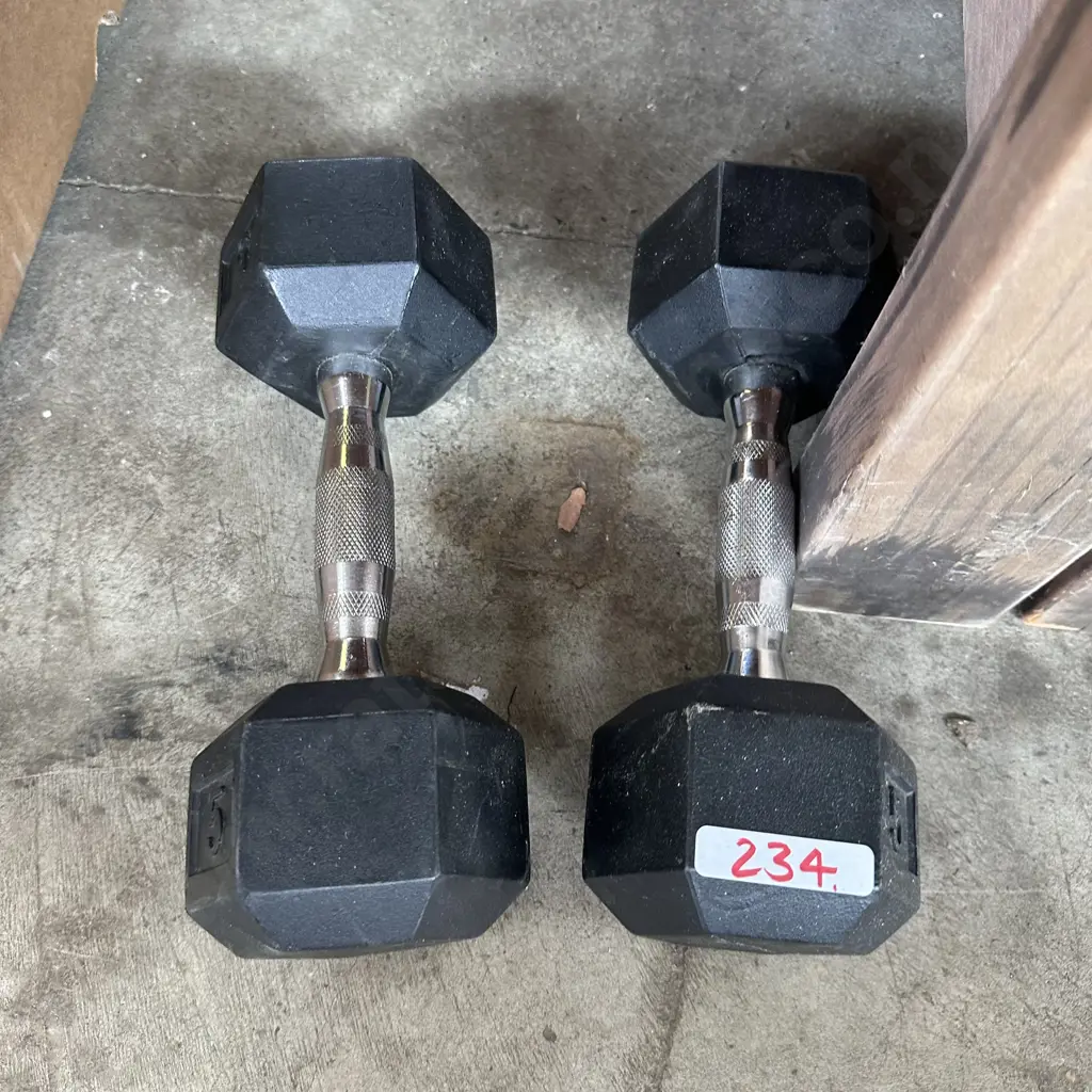 Pair weights (5kg each) Image 1++