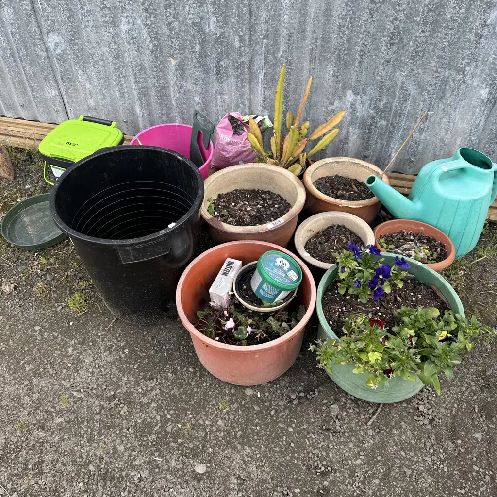 Plants, planters, bin, watering can etc Image 1++
