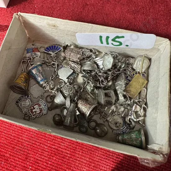 Charms and bracelets