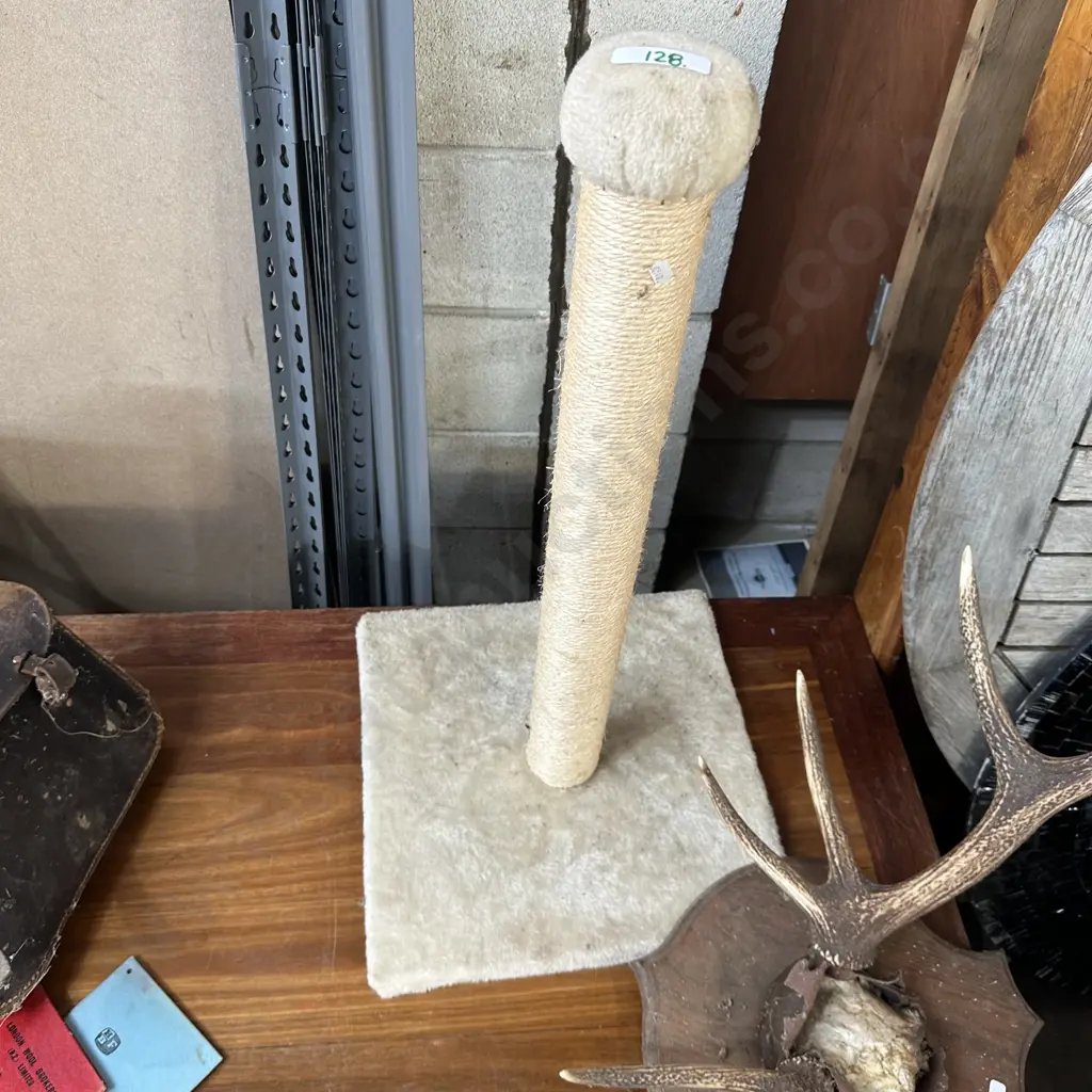 Cat scratcher Image 1++