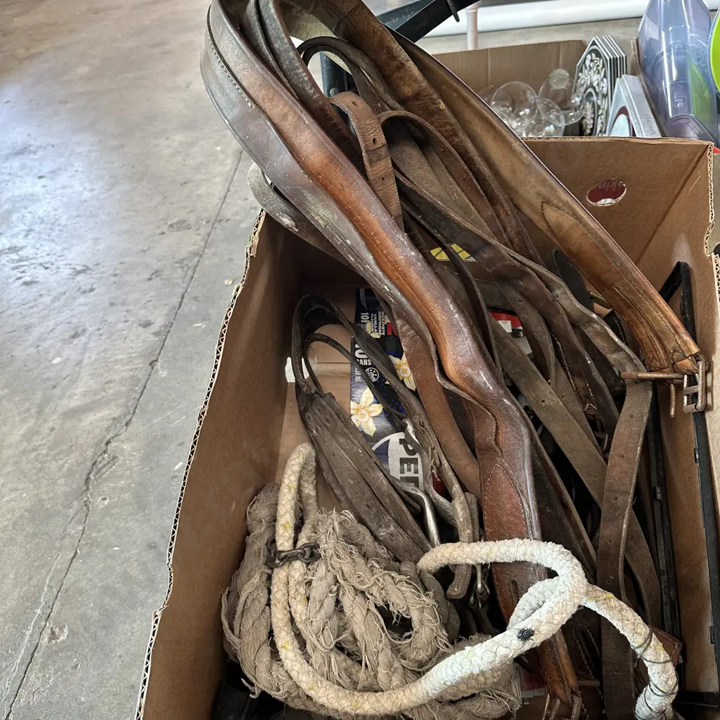 Leatherware and whip etc Image 1++