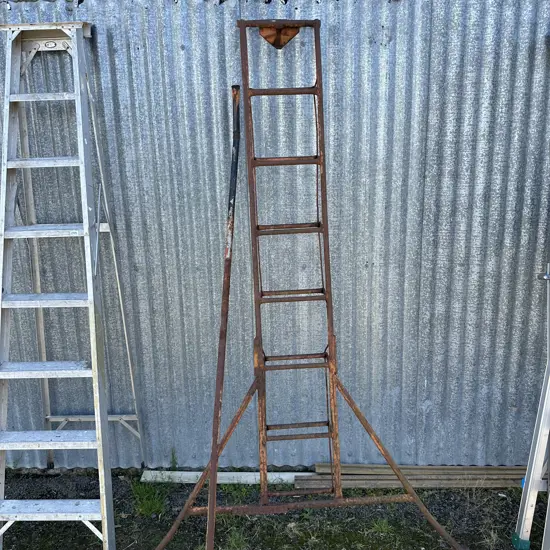 orchard ladder as is
