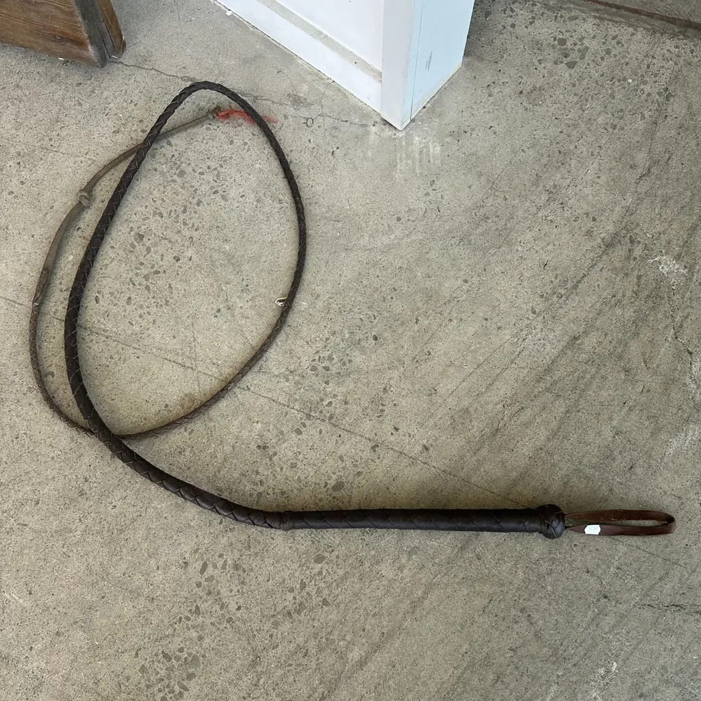 Hand made leather whip Image 1++