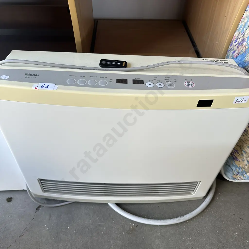 Rinnai natural gas heater with remote Image 1++