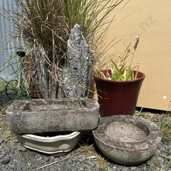 small concrete planters plus others
