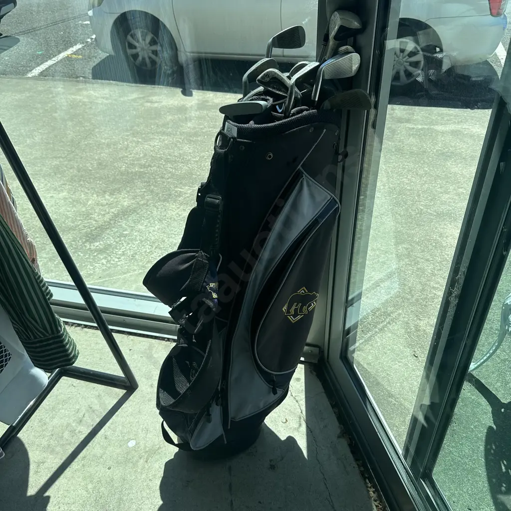 Golf bag and clubs Image 1++